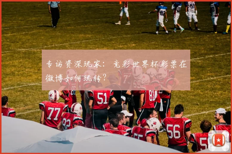 专访资深玩家：竞彩世界杯彩票在微博如何玩转？
