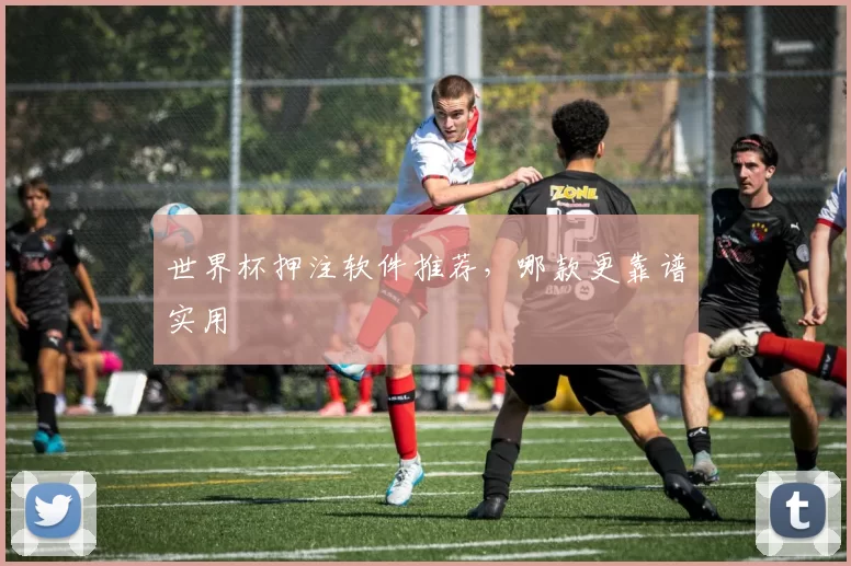 世界杯押注软件推荐，哪款更靠谱实用