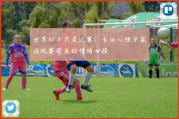 世界杯不只是比赛：专访心理学家谈观赛带来的情绪回报