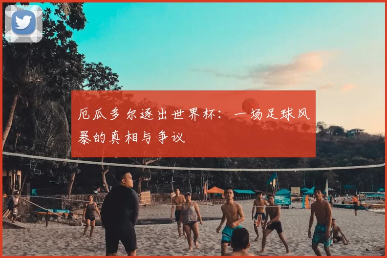 厄瓜多尔逐出世界杯：一场足球风暴的真相与争议