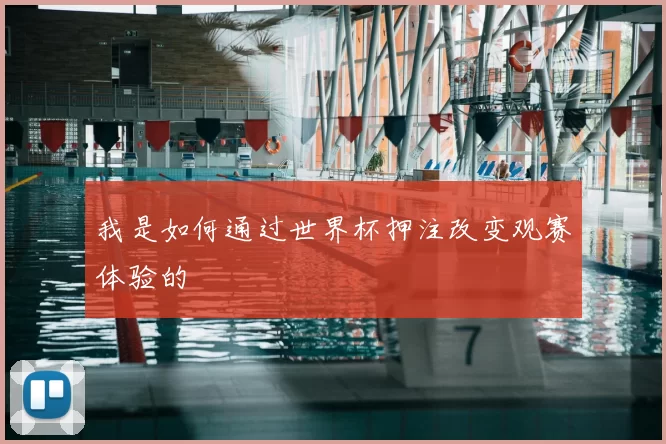 我是如何通过世界杯押注改变观赛体验的
