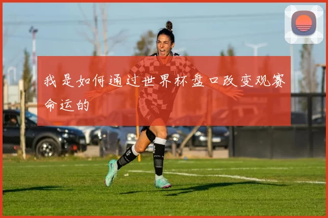 我是如何通过世界杯盘口改变观赛命运的