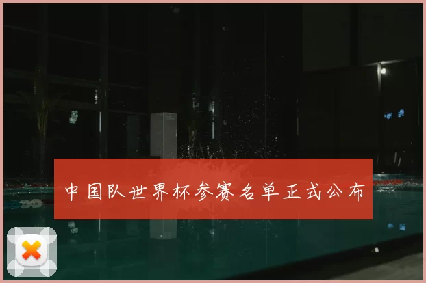 中国队世界杯参赛名单正式公布