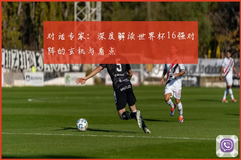 对话专家：深度解读世界杯16强对阵的玄机与看点
