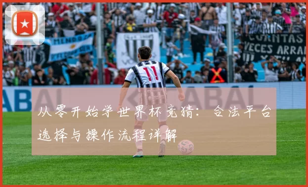 从零开始学世界杯竞猜:合法平台选择与操作流程详解