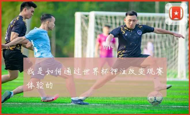 我是如何通过世界杯押注改变观赛体验的